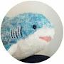 @whaleshark_219