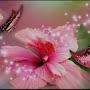 @alishasheikh6584