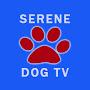 @serenedogtv-relaxingmusicv9786