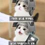 @hongik99