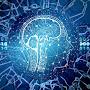 @Tesla-AI-compani