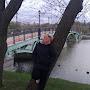 @ЕленаДанина-к5ы