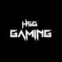 HSG GAMING