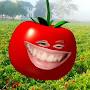 The Smile Tomato