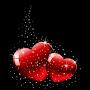 @shinwariabdulwasi6559