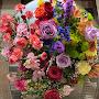@emanhalay4973