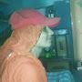 @rajparimusic8580
