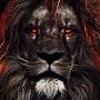 @Lion24.7