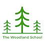 @thewoodlandschoolltd3999