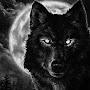 @terriblewolf7726