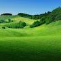 @anatoliykurtashev1852