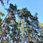 @badenbaden6461-Vera