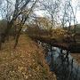 @aleksandrmyalov6166