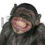 @monkeyking9579