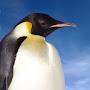 @HeroicPenguin