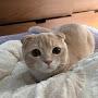 @donell3124