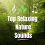 Top Relaxing Nature Sounds