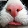 @HEROUNSC261