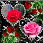 @Лулудымузыкадлядуши