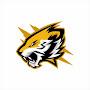 @TIGERGAMING-ny8pi