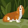 @HappyBassetHound-vw1hq