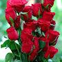 @SharqMedia-v9d