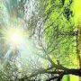 @saidabdukadyrov7023