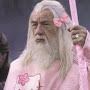 Hauptberuflicher Gandalf