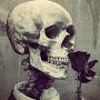 @daun55