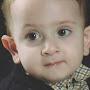 @hosseinbaradaranjamili8133