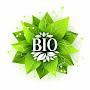 @biologybysanjaygaur4805