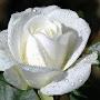 @bolormaaborjigin1405