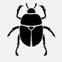 beetle_collector