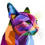 @Rainbow_Cat14