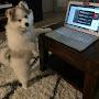 @PomskyAriel