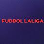 @fudbollaliga7848