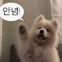 @korea7209_k7u
