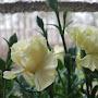 @user-kg5xz6et2i