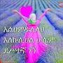 አላህ ወኪል Hikma