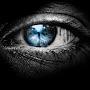 @mohamedkenawy1585