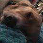 @kennethomg2511