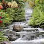 @hailu3565
