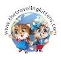 @thetravelingkittens1393