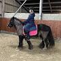 @Nora_Horse