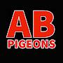 @abpigeons6017