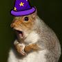 @magic00squirrel