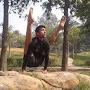 Pawan Yoga