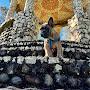 @chesterstravels2473