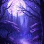 @mooncontact