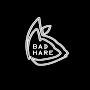 Bad Hare Studios Portfolio